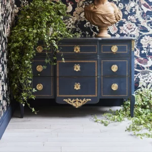 Commode de l'Évêché Transition <br />
 Réf. 578