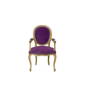 Regency medallion armchair <br>Ref. 157F