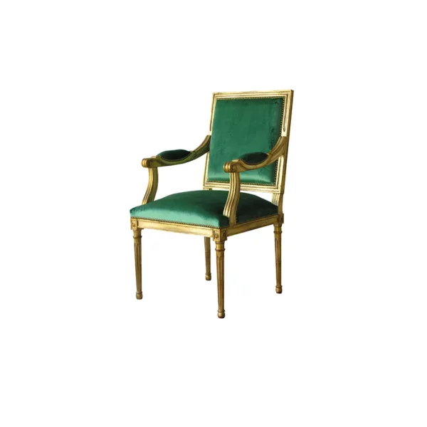 Louis XVI Jacob armchair <br>Ref. 4791F